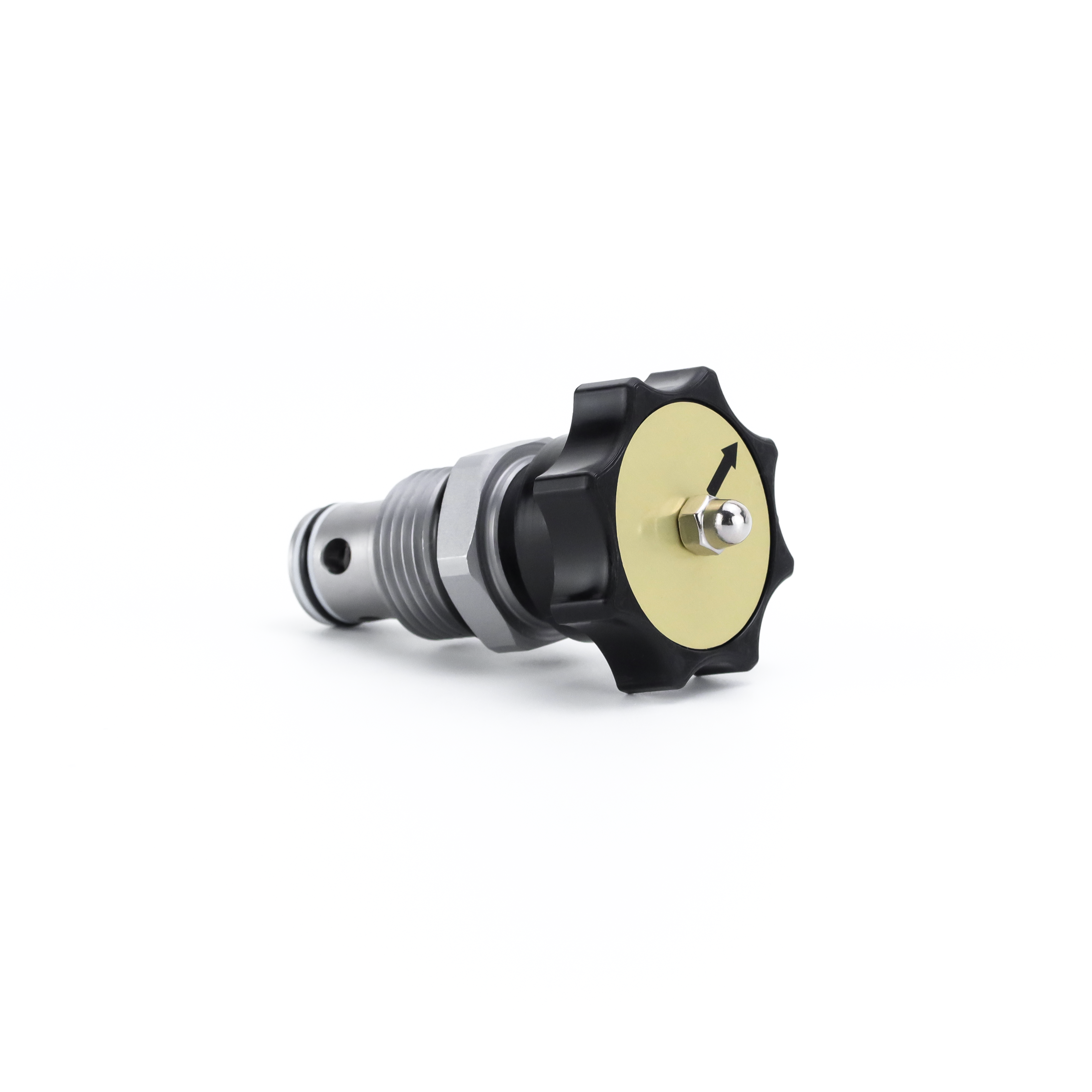 Needle Valve NV10K-P0B